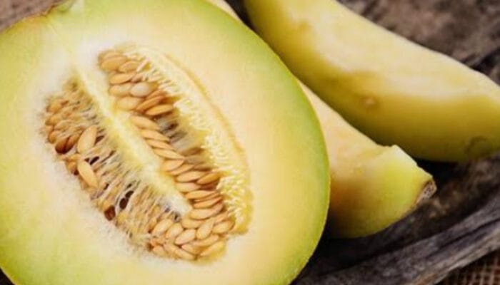 Melon jadi Buah Segar yang Menjaga Kesehatan Kulit Cantik