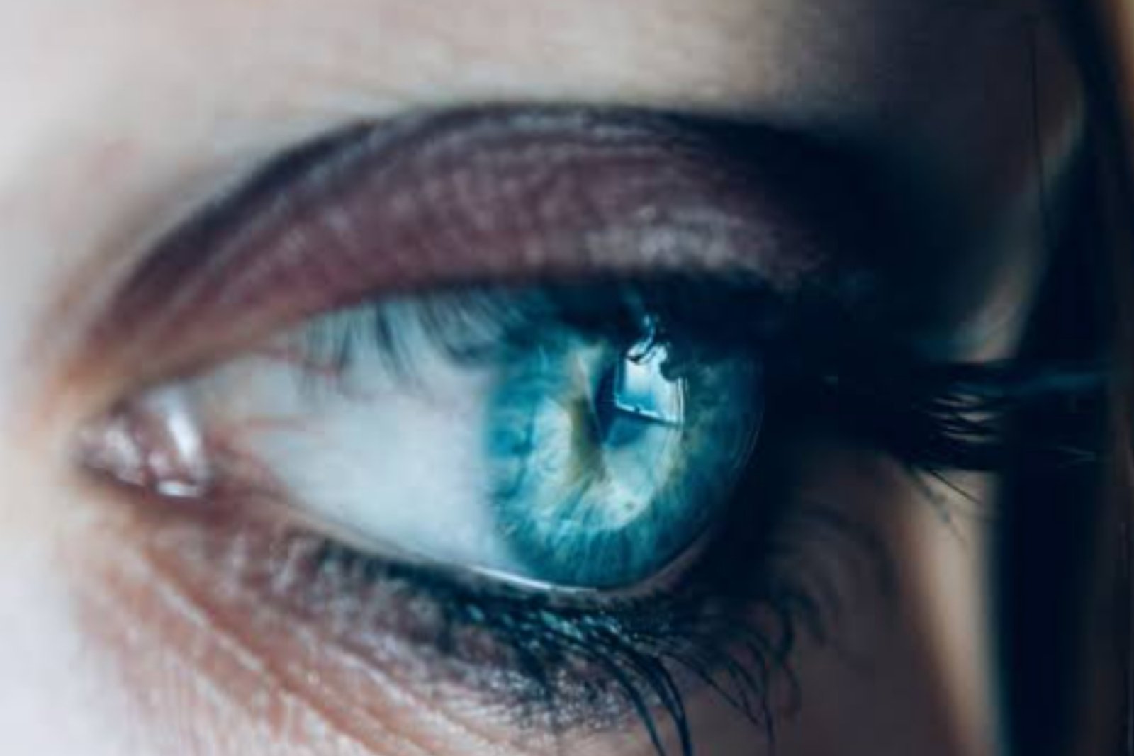 Memahami Peran Retina dalam Penglihatan
