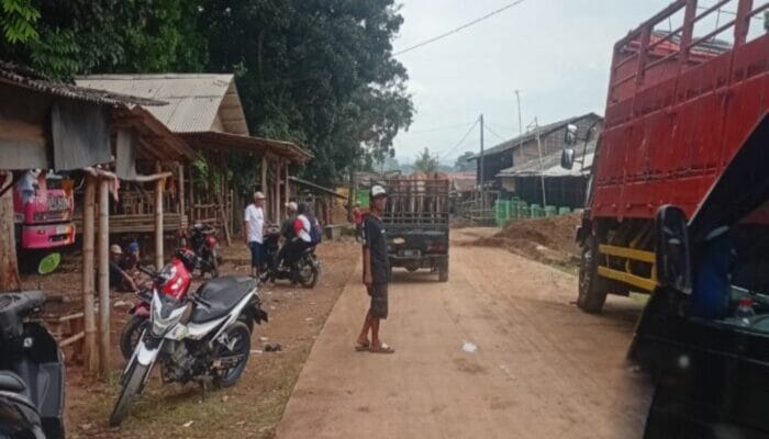 Pemilik Kandang Sapi di Kawasan Hutan Negara Ciwareng Purwakarta Terancam Digusur?