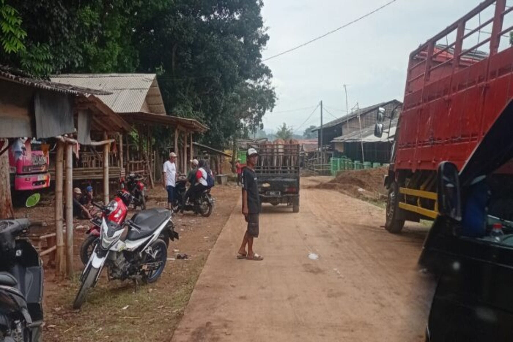 Pemilik Kandang Sapi di Kawasan Hutan Negara Ciwareng Purwakarta Terancam Digusur?