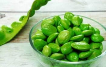 Petai jadi Sayuran Pahit Unik dengan Segudang Manfaat Kesehatan
