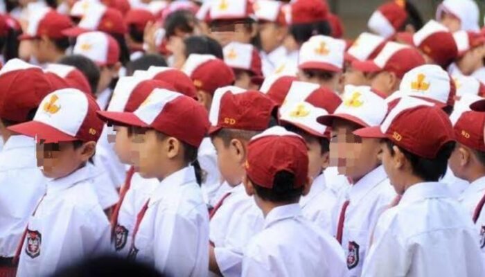 Provinsi Jawa Barat Peringkat Pertama, 10 Provinsi dengan Persentase Putus Sekolah Dasar (SD) Tertinggi di Indonesia tahun 2024