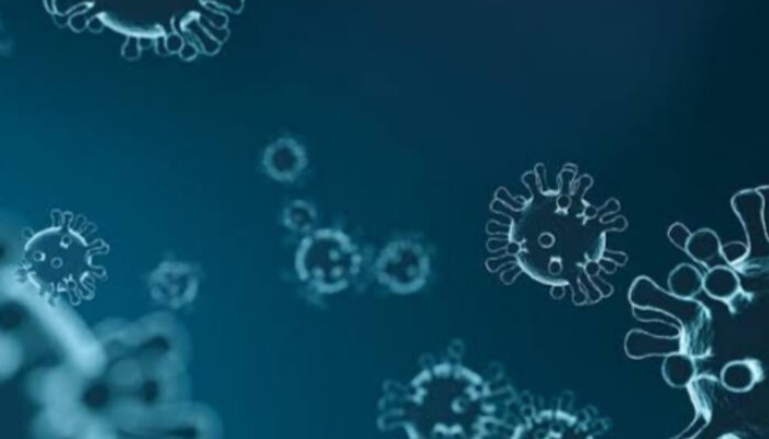 Virus: Pengertian, Dampak, dan Cara Pencegahan Efektif