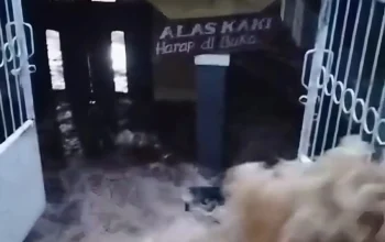 Banjir & Longsor Terjang Cisarua-Megamendung Bogor
