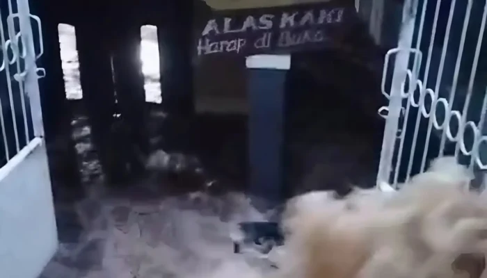 Banjir & Longsor Terjang Cisarua-Megamendung Bogor