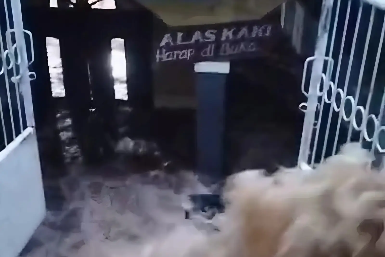 Banjir & Longsor Terjang Cisarua-Megamendung Bogor