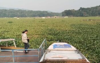 Eceng Gondok Lumpuhkan Ekonomi Warga Kertajaya Cianjur