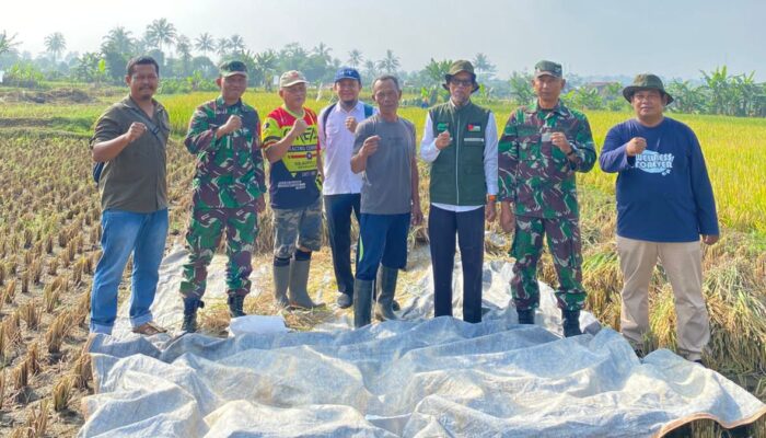Dukung Program Ketahanan Pangan, Mitra Bulog Serap Gabah 3 Ton Dari Poktan Sri Rahayu Kota Sukabumi