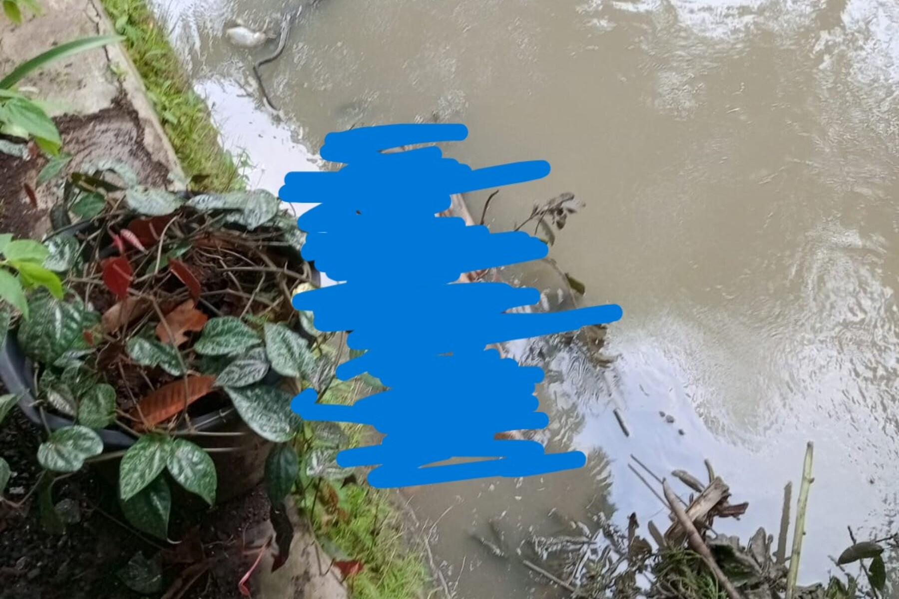 Jasad Pria Ditemukan Mengambang di Irigasi Cianjur
