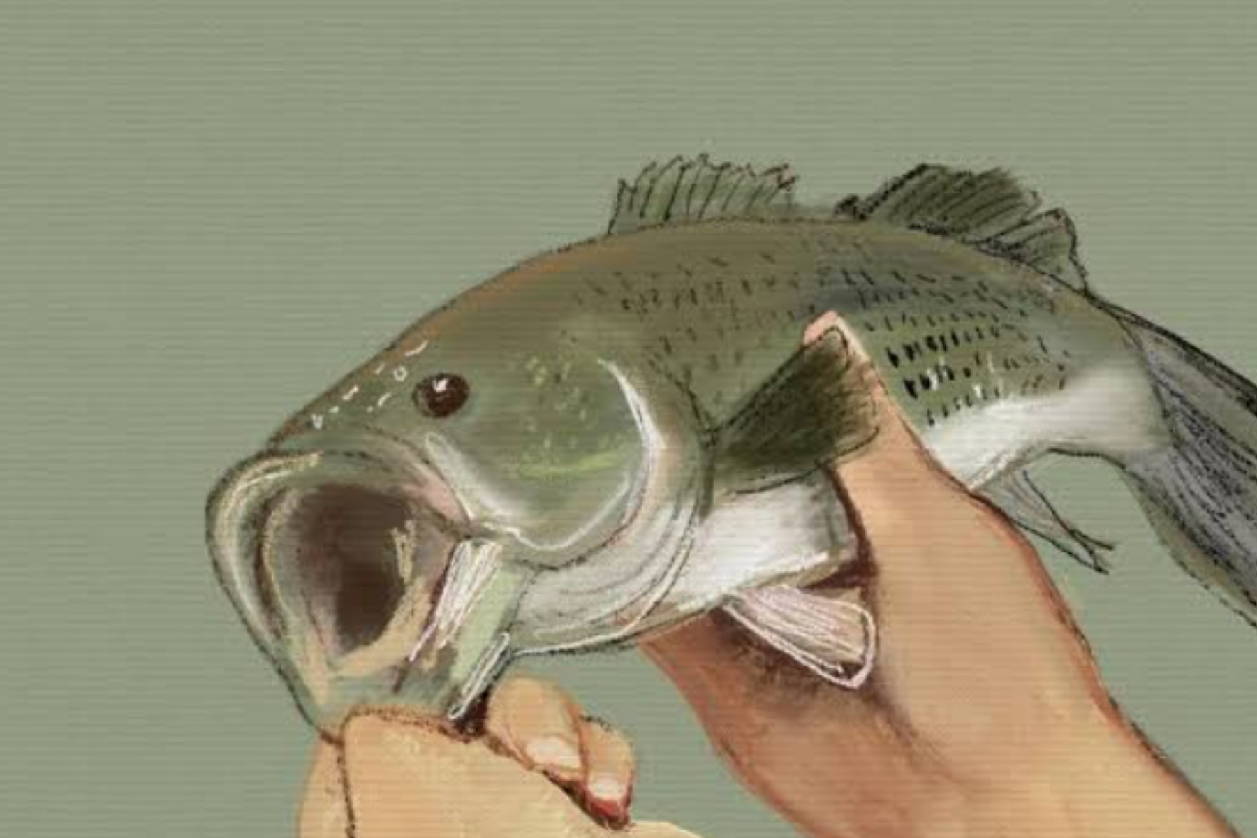 Lezat dan Bergizi: Manfaat dan Cara Olah Ikan Kuwe untuk Keluarga