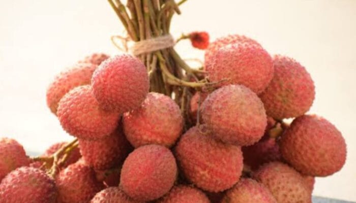 Mengenal Kelengkeng Merah: Si Eksotis Langka yang Jadi Gudang Nutrisi