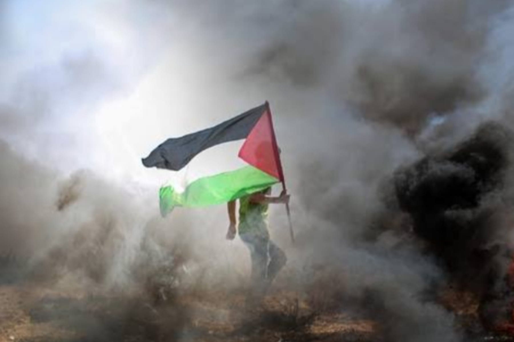 Australia Resmi Akui Palestina