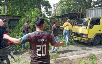 Dahan Trembesi Tumbang di Jalan Raya Cianjur-Bandung, Mobil Box Ringsek