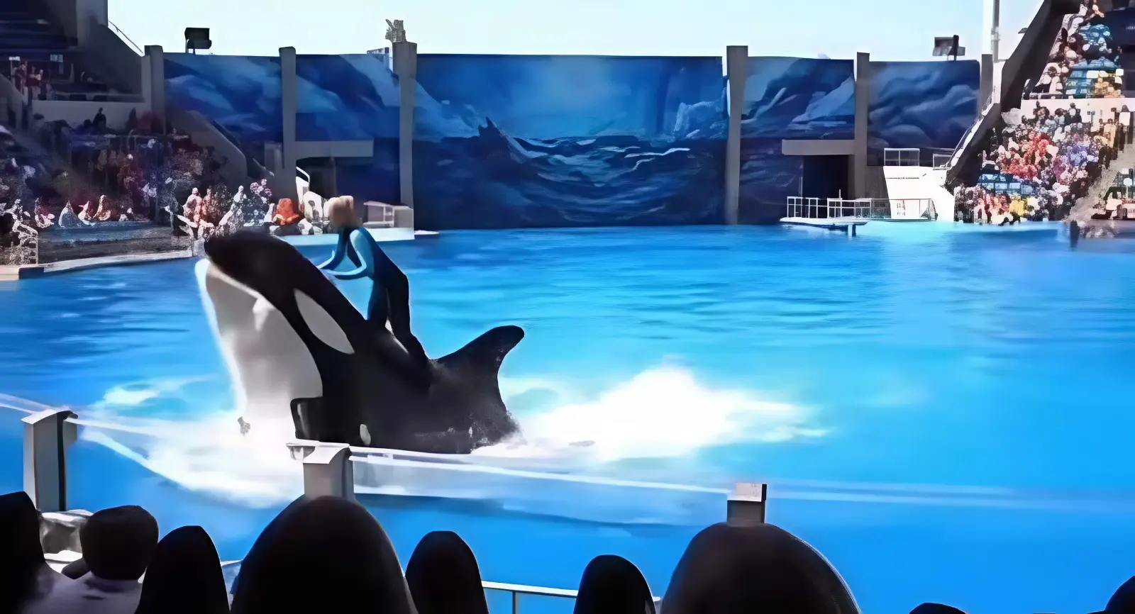 Fakta di Balik Hebohnya Video “Jessica Orca” Antara Mitos dan Realita