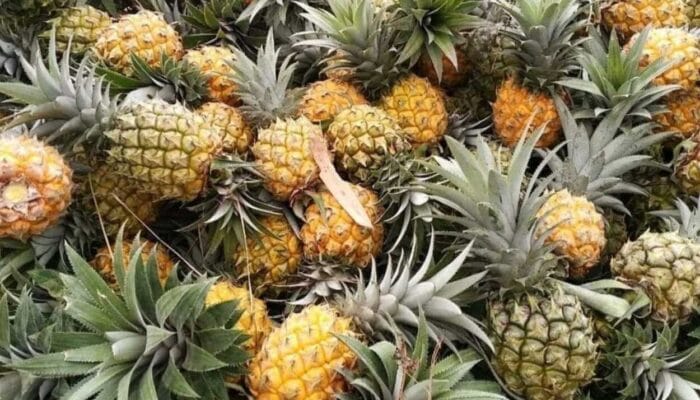 Jus Nanas Disebut Bisa Redakan Radang, Begini Kata Medis