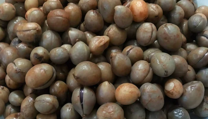 Kacang Bogor, Camilan Tradisional dengan Segudang Manfaat