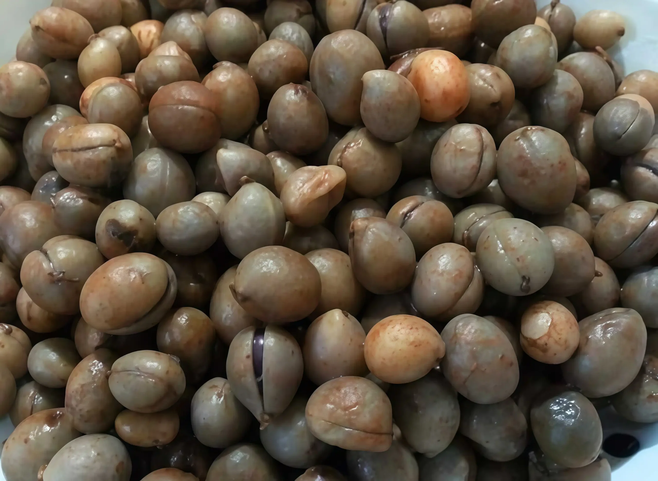 Kacang Bogor, Camilan Tradisional dengan Segudang Manfaat