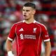 Liverpool Boyong Miloš Kerkez Rp840 Milar