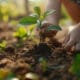 Menikmati Hidup dengan Berkebun Sederhana di Depan Rumah