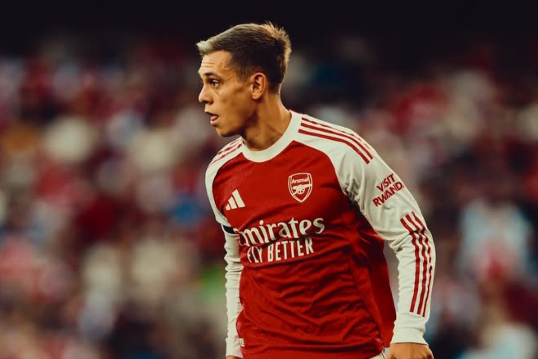 Besiktas Ajukan Tawaran £19,1 Juta untuk Leandro Trossard