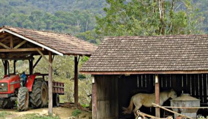 Beternak di Pekarangan Rumah: Cara Mudah dan Menguntungkan