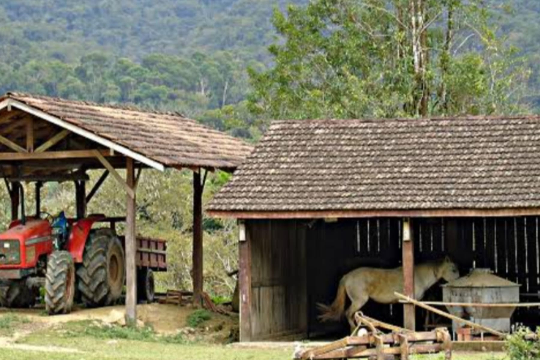 Beternak di Pekarangan Rumah: Cara Mudah dan Menguntungkan