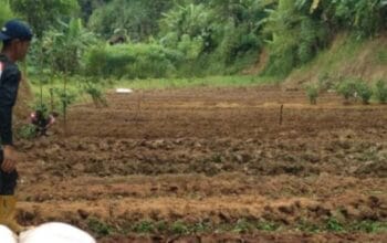Dijual Tanah Strategis 1 Hektar di Cireunghas Kab. Sukabumi, Cocok untuk Lahan Pertanian, Vila & Agrowisata