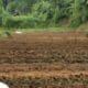 Dijual Tanah Strategis 1 Hektar di Cireunghas Kab. Sukabumi, Cocok untuk Lahan Pertanian, Vila & Agrowisata