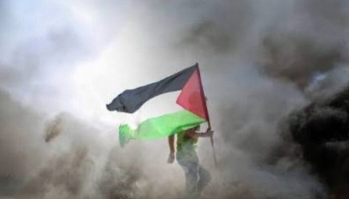 Gema Keadilan dari Irlandia: Presiden Higgins Desak PBB Bertindak Tegas atas Israel