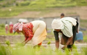 Hari Tani Nasional 2025, Momentum Dorongan Reforma Agraria