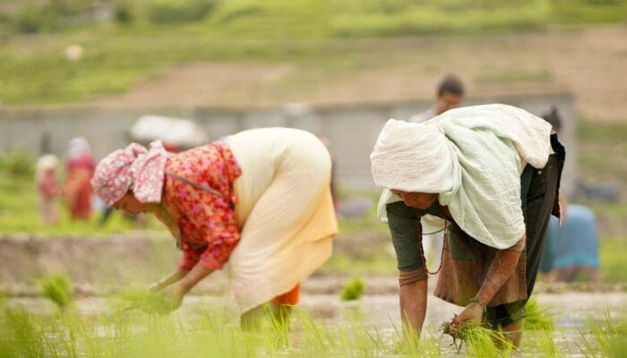 Hari Tani Nasional 2025, Momentum Dorongan Reforma Agraria