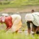 Hari Tani Nasional 2025, Momentum Dorongan Reforma Agraria