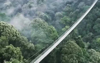 Jembatan Gantung Situ Gunung, Sensasi Melayang di Atas Hutan Sukabumi