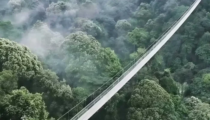 Jembatan Gantung Situ Gunung, Sensasi Melayang di Atas Hutan Sukabumi