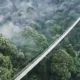 Jembatan Gantung Situ Gunung, Sensasi Melayang di Atas Hutan Sukabumi