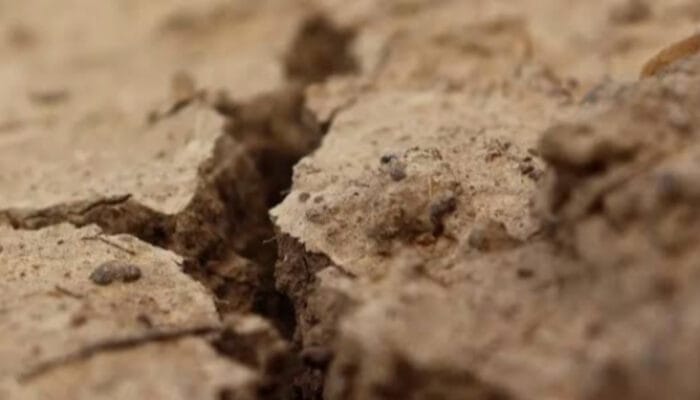 Longsor Dahsyat di Darfur, Lebih dari 1.000 Warga Meninggal Dunia