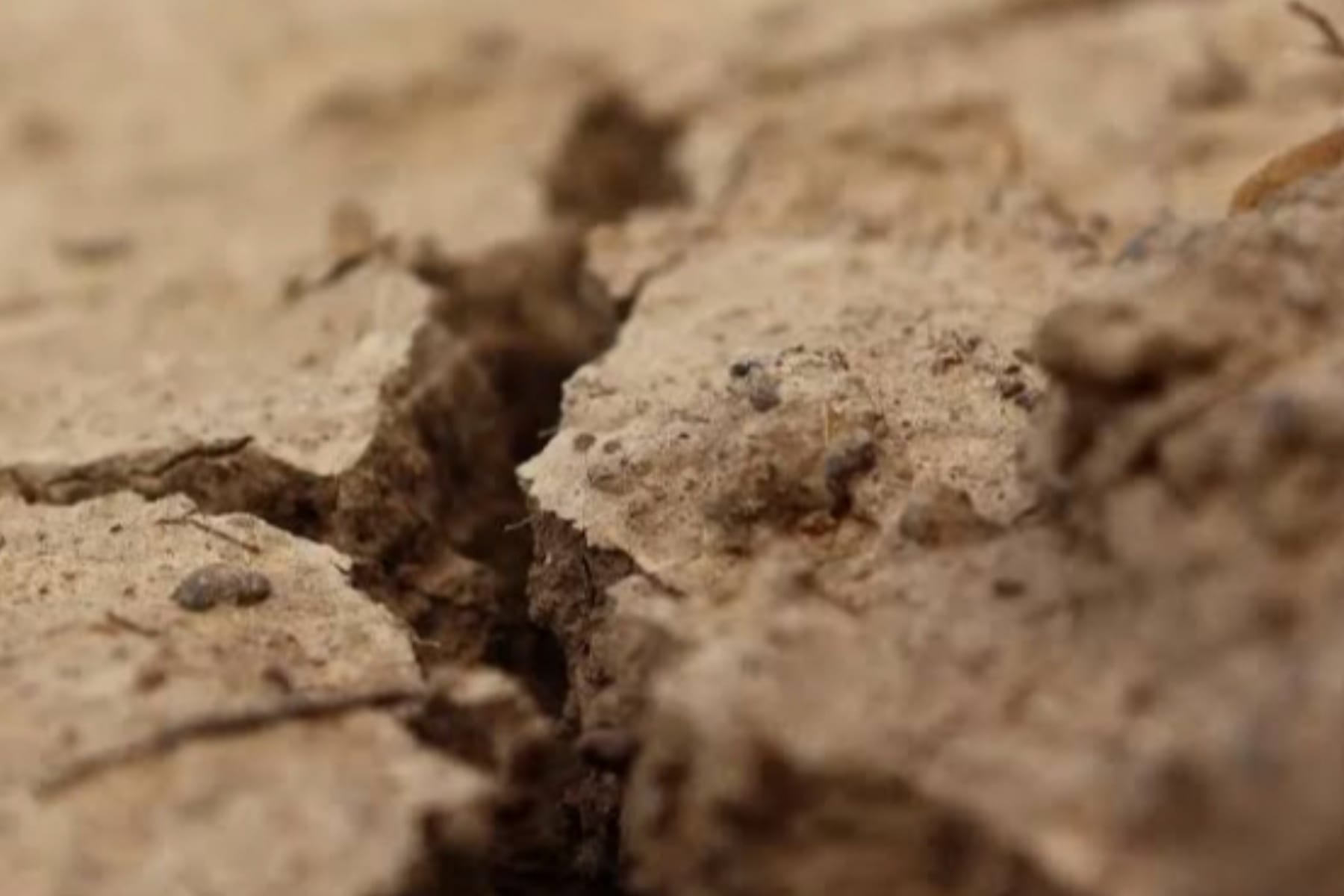 Longsor Dahsyat di Darfur, Lebih dari 1.000 Warga Meninggal Dunia