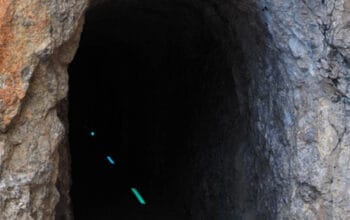 Misteri Terowongan Raksasa di Brasil, Ternyata Karya Kukang Purba Seukuran Gajah