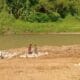 Pembangunan Perum Alam Cikadu di Bantaran Sungai Cikao Purwakarta Jadi Sorotan