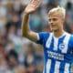 Tottenham Dapat Angin Segar untuk Datangkan Van Hecke