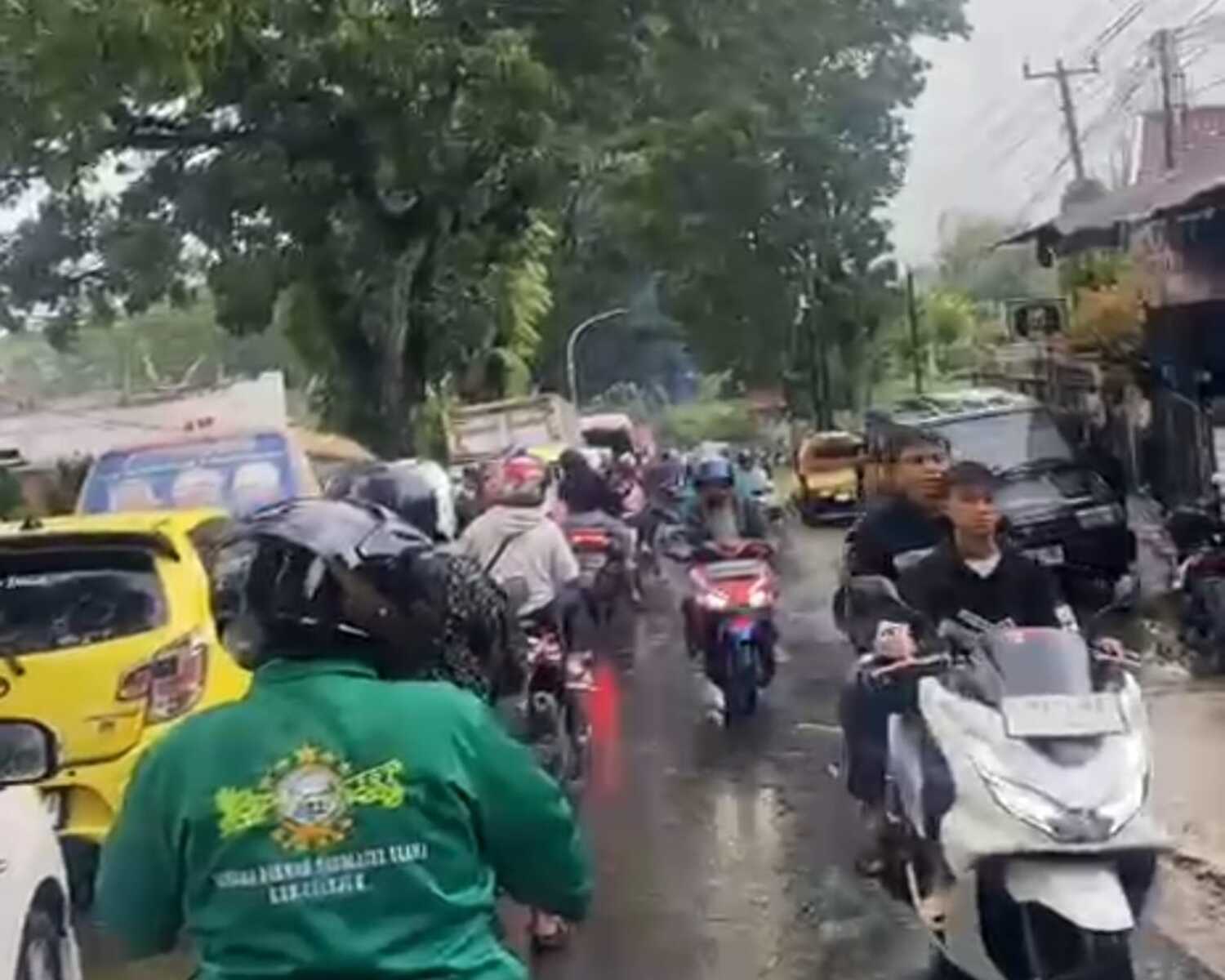 3 Pohon Tumbang di Mande Cianjur Bikin Jalan Macet!