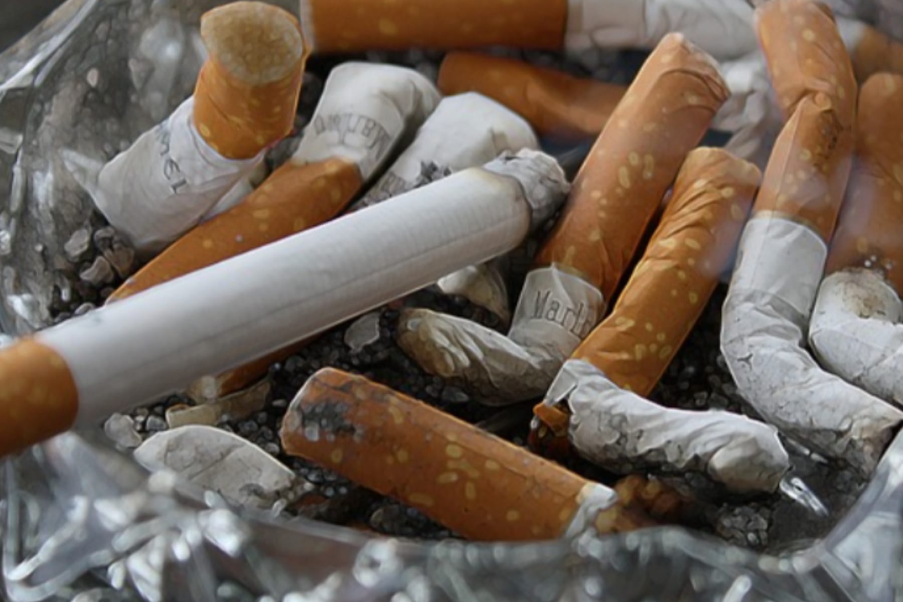 Adakah Batas Aman? Ini Fakta di Balik Jumlah Maksimal Rokok per Hari