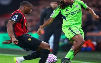 Bournemouth Bangkit, Hajar Fulham 3–1