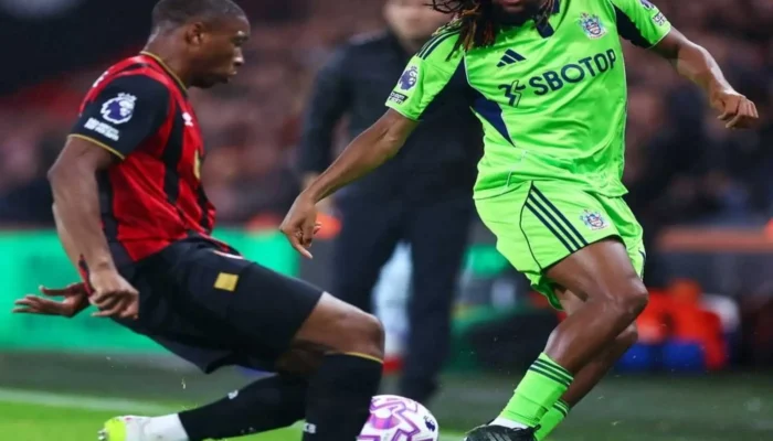 Bournemouth Bangkit, Hajar Fulham 3–1