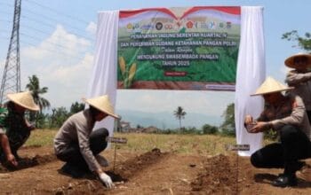 Dukung Ketahanan Pangan, Polres Sukabumi Kota Tanam Jagung Serentak Kuartal IV 2025 di Sukaraja