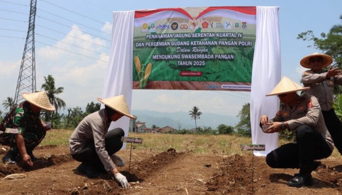 Dukung Ketahanan Pangan, Polres Sukabumi Kota Tanam Jagung Serentak Kuartal IV 2025 di Sukaraja
