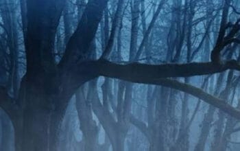 Menguak Misteri Setro Gondo Mayit: Benarkah Ada Kampung Gaib yang Dihuni Para Demit?
