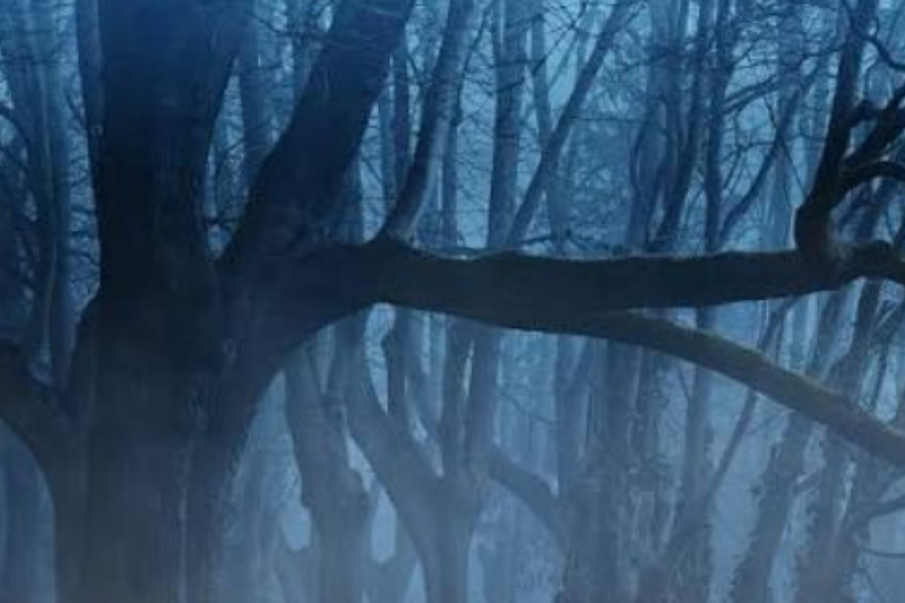 Menguak Misteri Setro Gondo Mayit: Benarkah Ada Kampung Gaib yang Dihuni Para Demit?