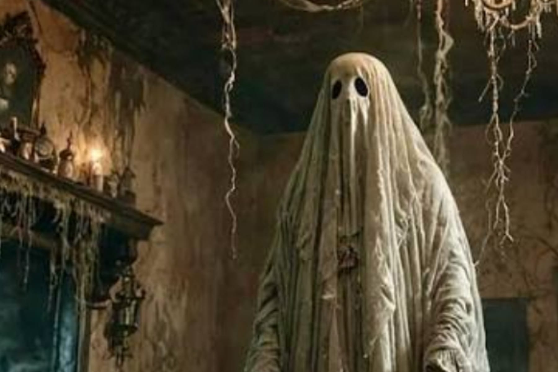 Mitos Pocong dan Pohon Pisang: Benarkah Jadi Sarang Favorit Makhluk Gaib?