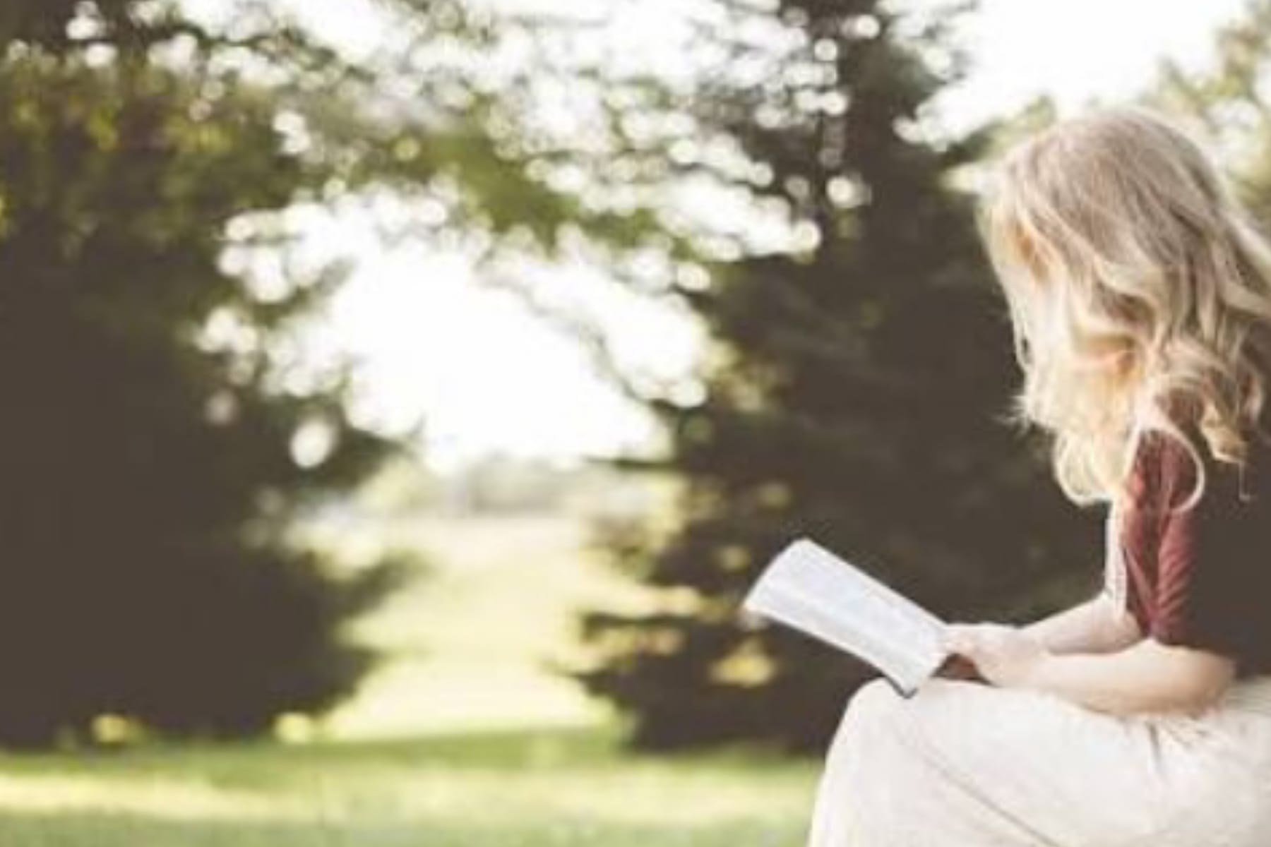 Rahasia di Balik Halaman: Bagaimana Membaca Mampu Meroketkan Kecerdasan Otak? 1 Rahasia di Balik Halaman: Bagaimana Membaca Mampu Meroketkan Kecerdasan Otak?